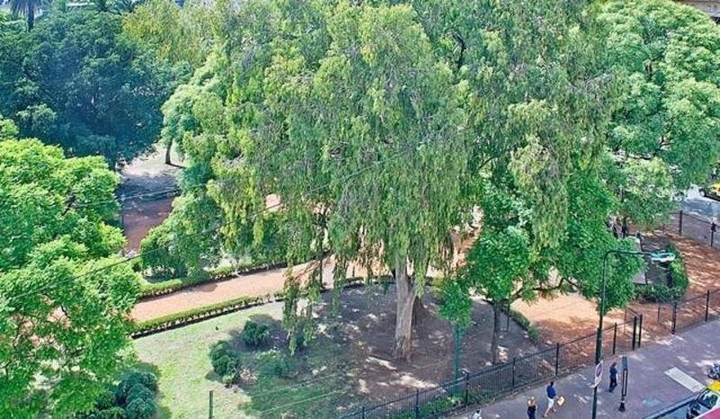 Фото Callao Plaza Suites