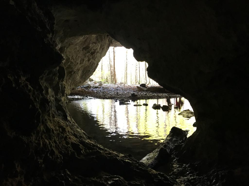 Фото Панорама