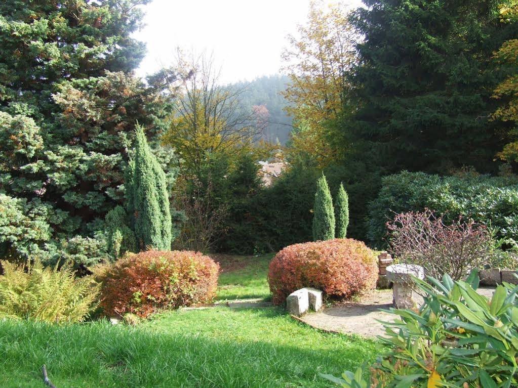 Фото Hotel Carlsruh