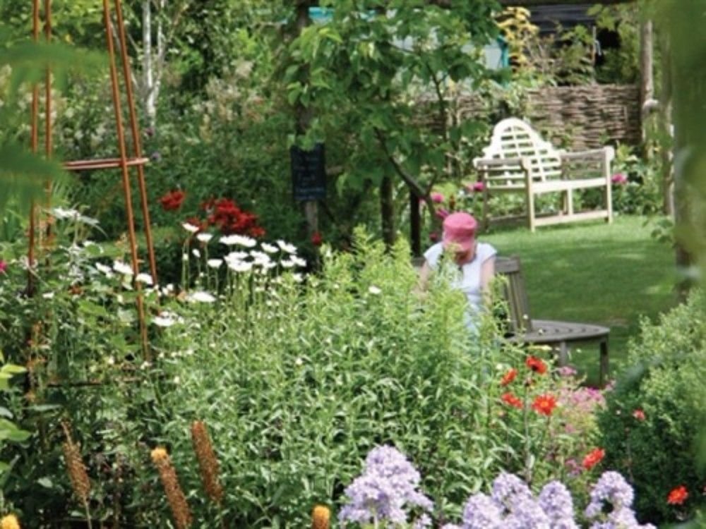 Фото The Salutation