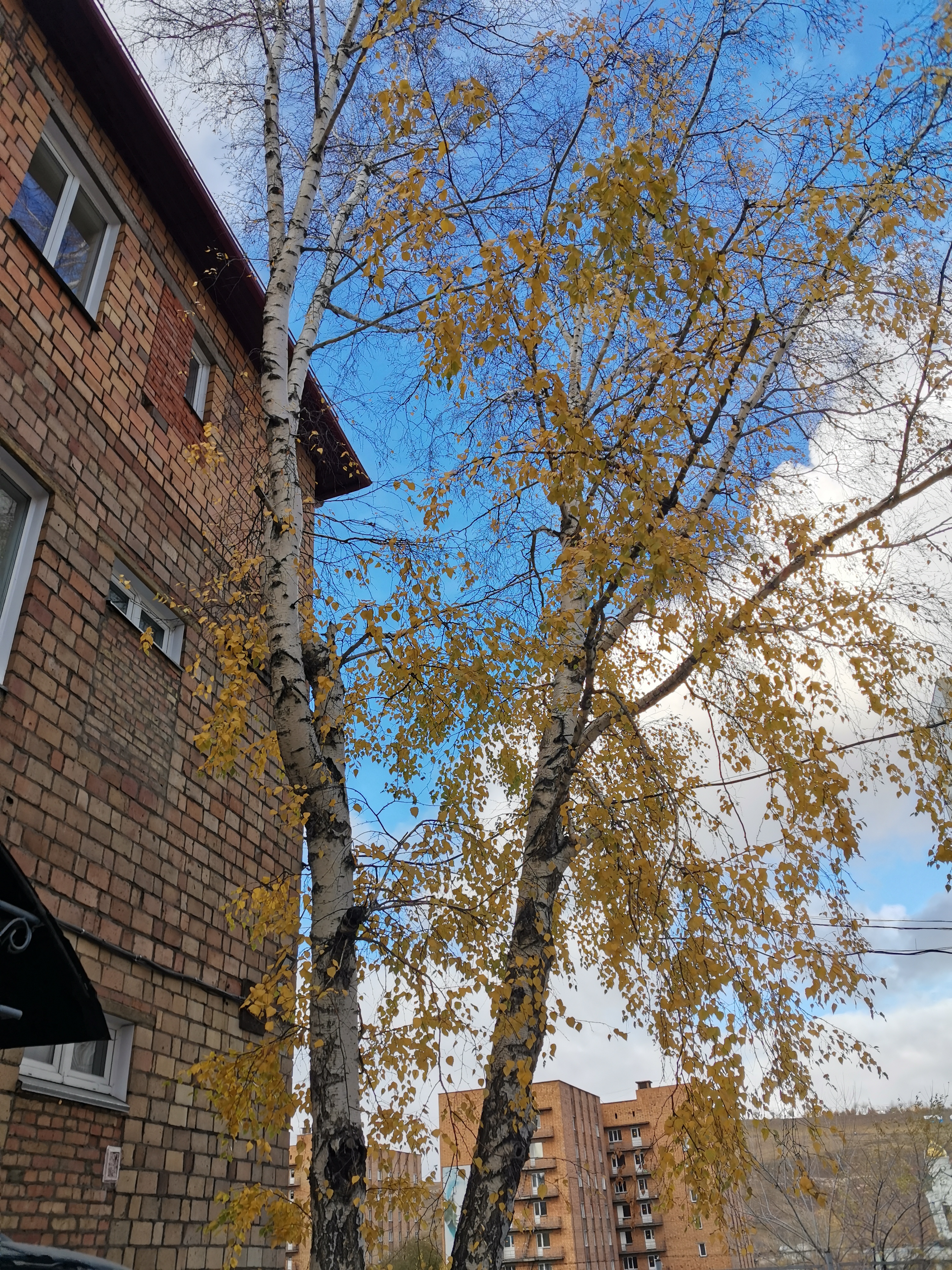 Фото City Classic Hotel