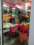 Clever (Leningradskaya ulitsa, 91), flower shop