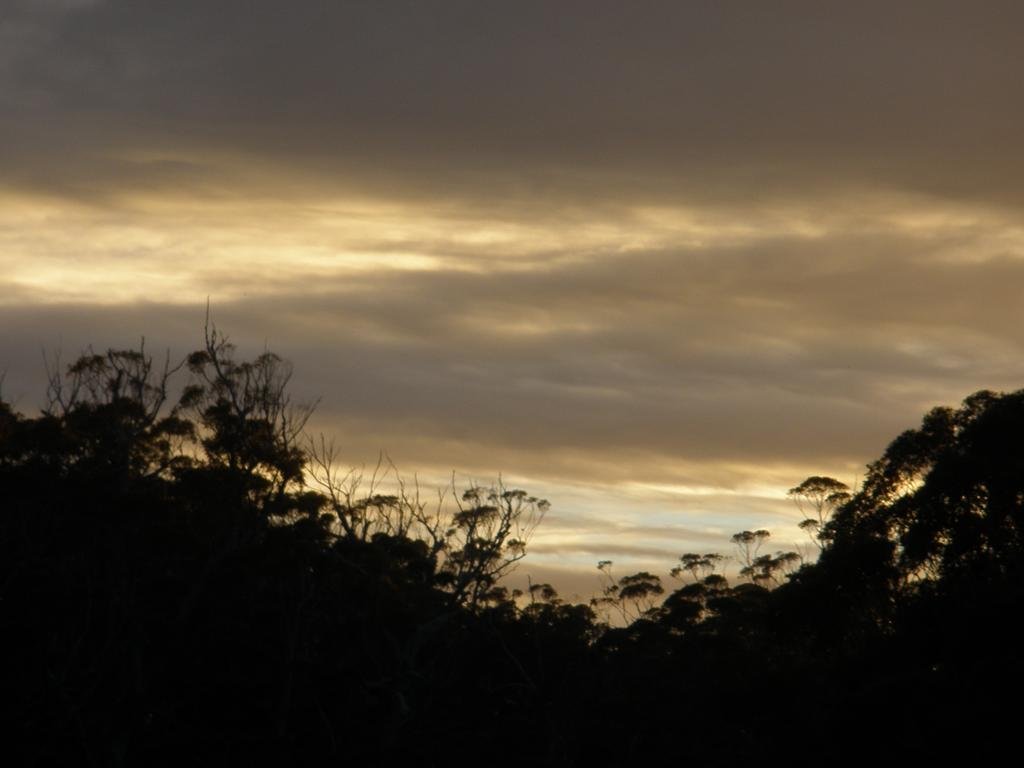 Фото Marima Cottages