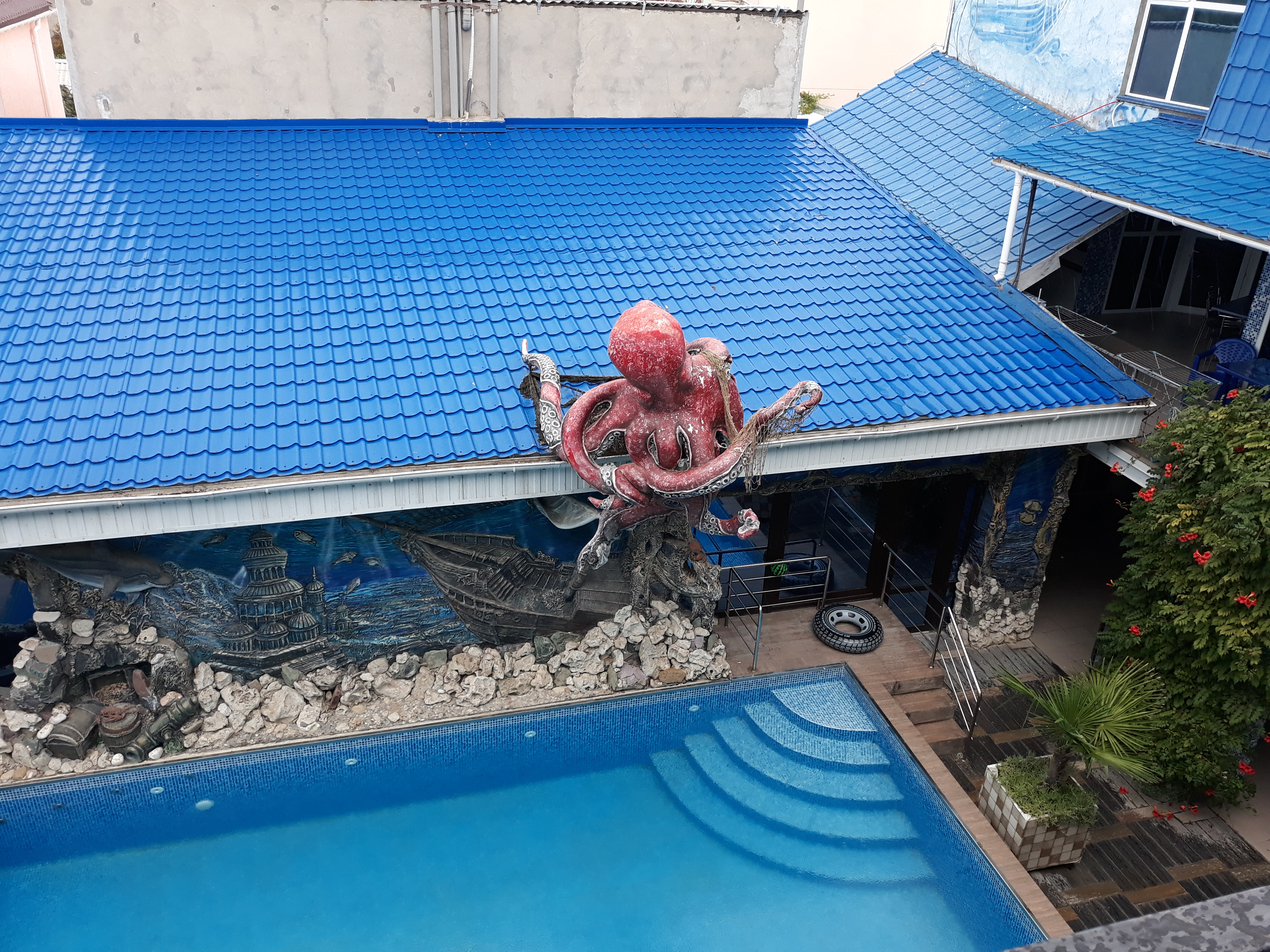 Фото Золотая рыбка