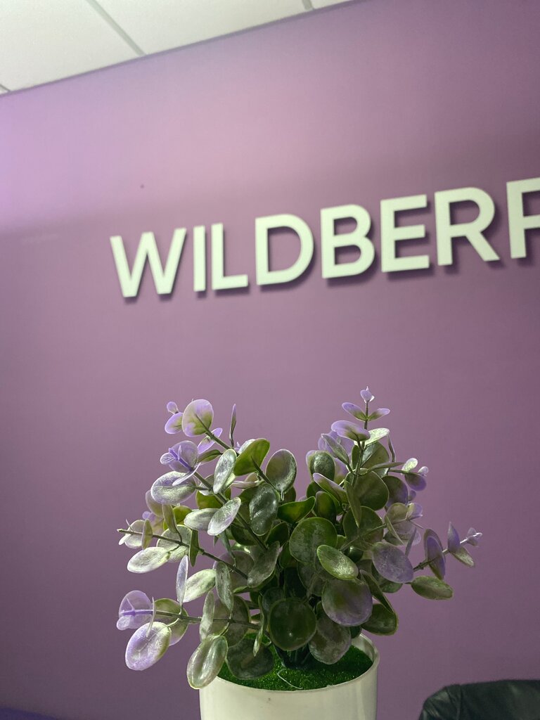 Point of delivery Wildberries, Minsk District, photo