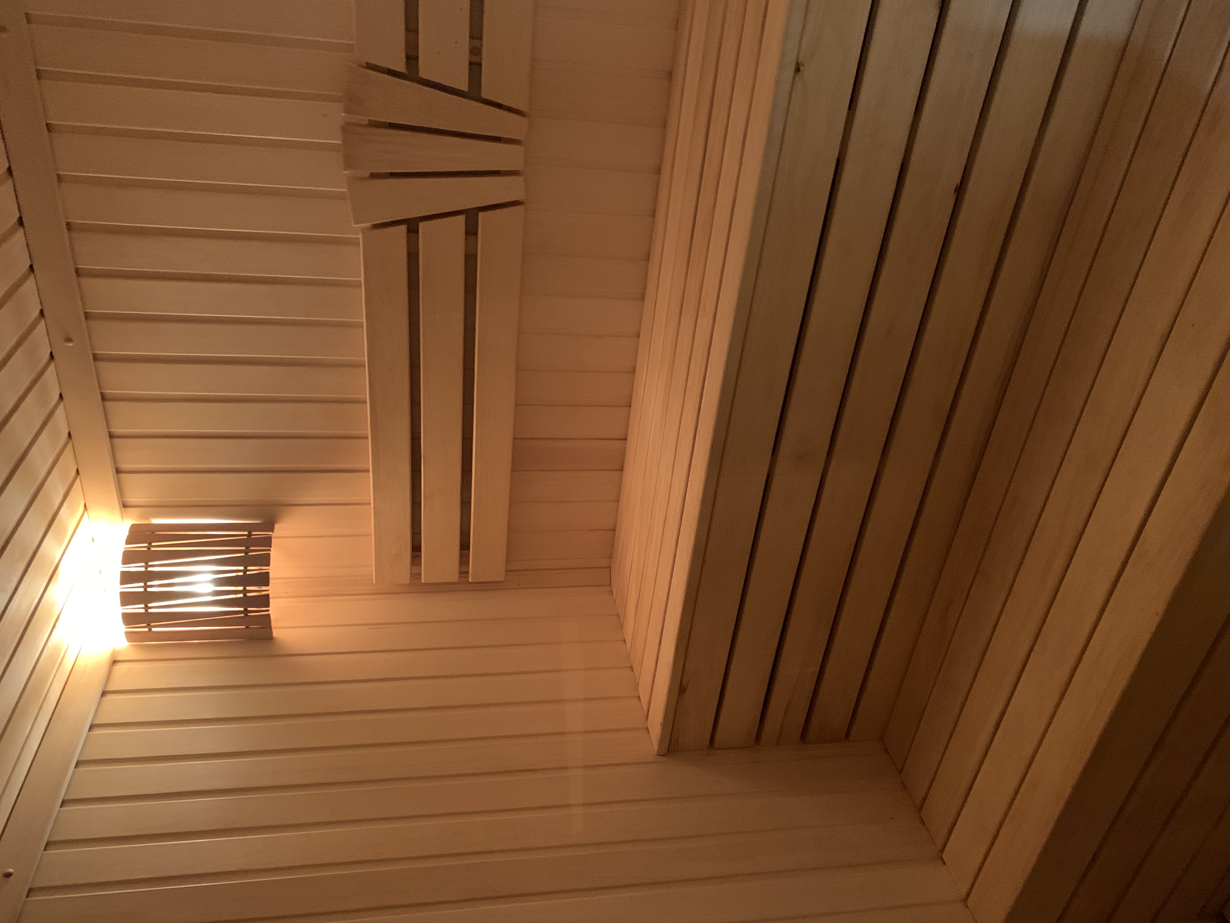 Фото Ласточка