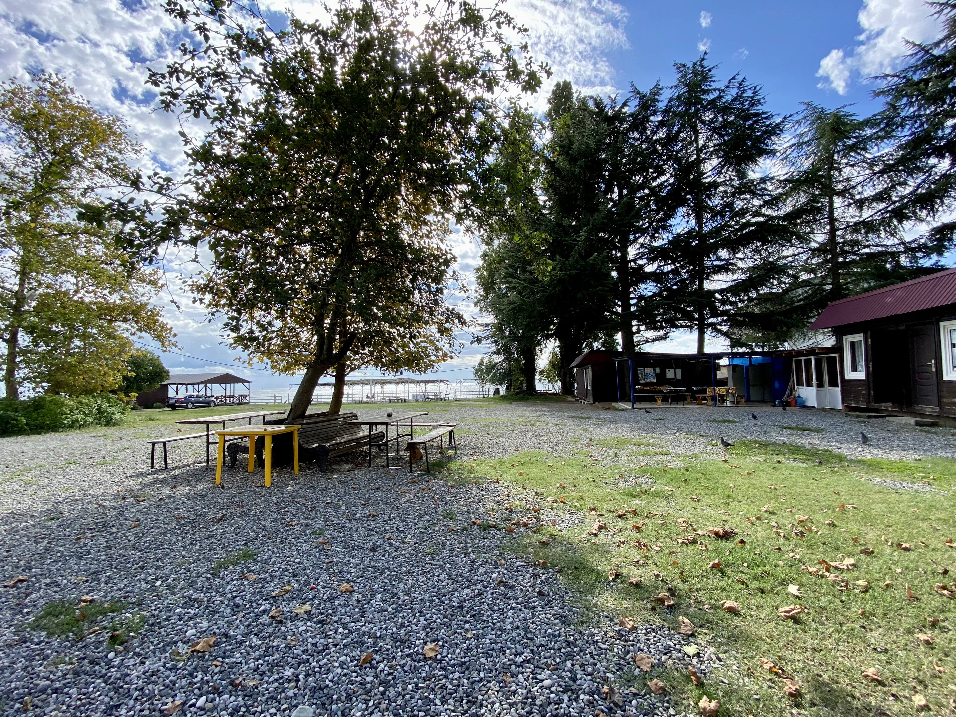 Фото Три Тополя