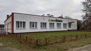 Тополь (Urban Settlement of Antopal, vulica Shysha, 10) ، حانة، بار