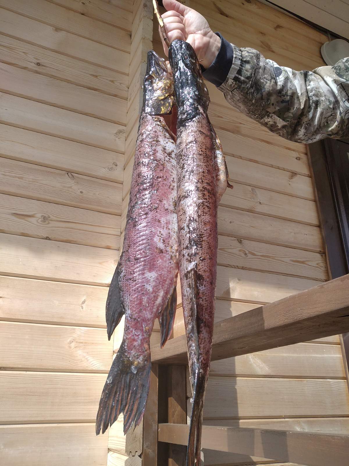 Фото Дом для отпуска Маслозеро