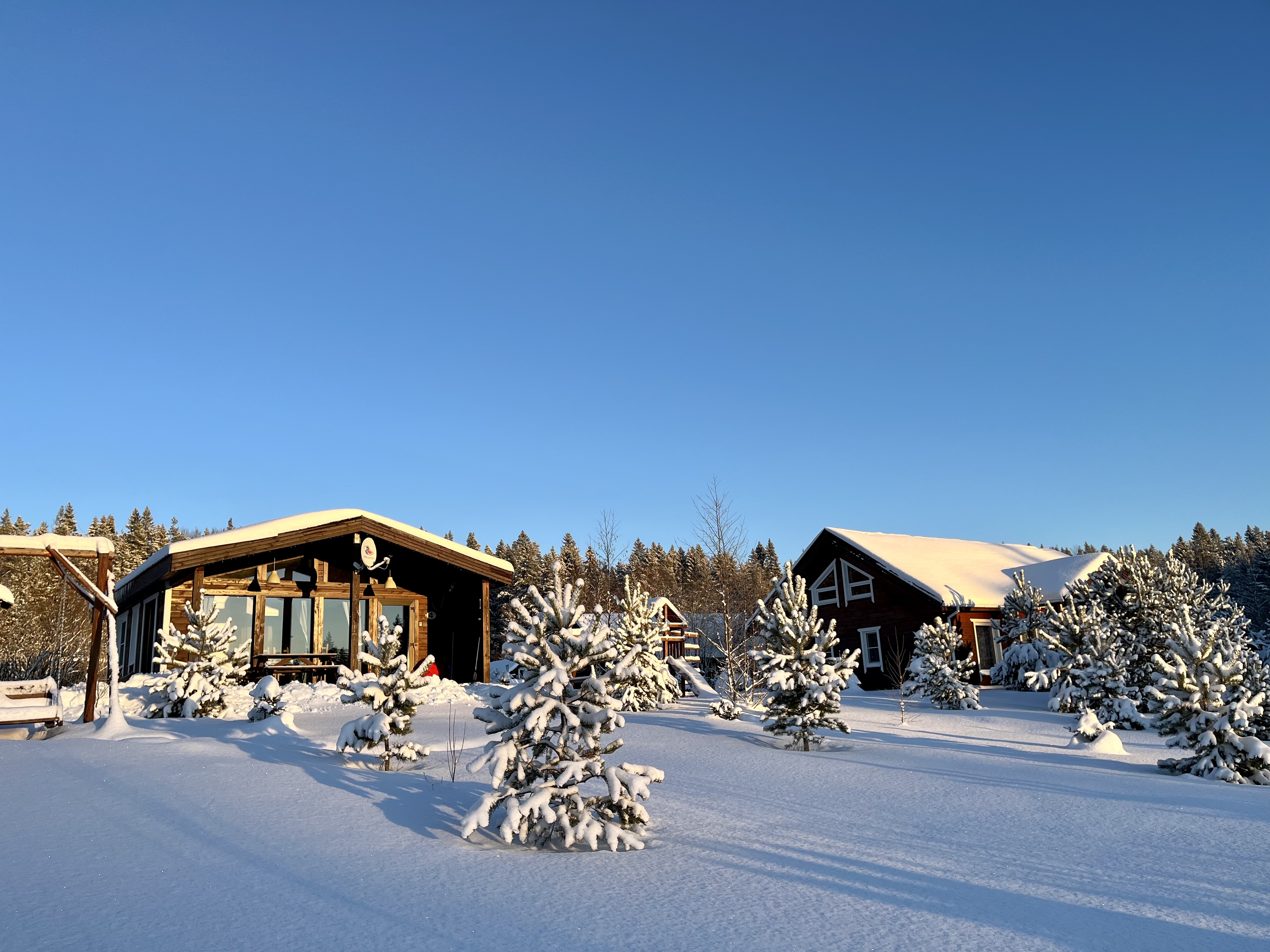 Фото Филина Гора