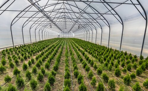 Местонахождение питомника Зеленый горизонт