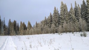 Гора Колапова 209 метров (Perm Territory, Chusovoy, mikrorayon Uglezhzheniye), mountain peak