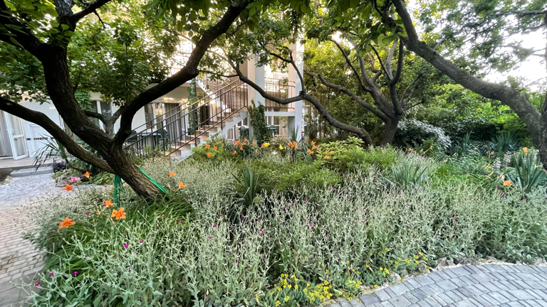 Фото Солнечная Ривьера