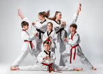 Taekwondo Sonsudan (Marksistskaya Street, 3с2) ، نادي رياضي، مجموعة
