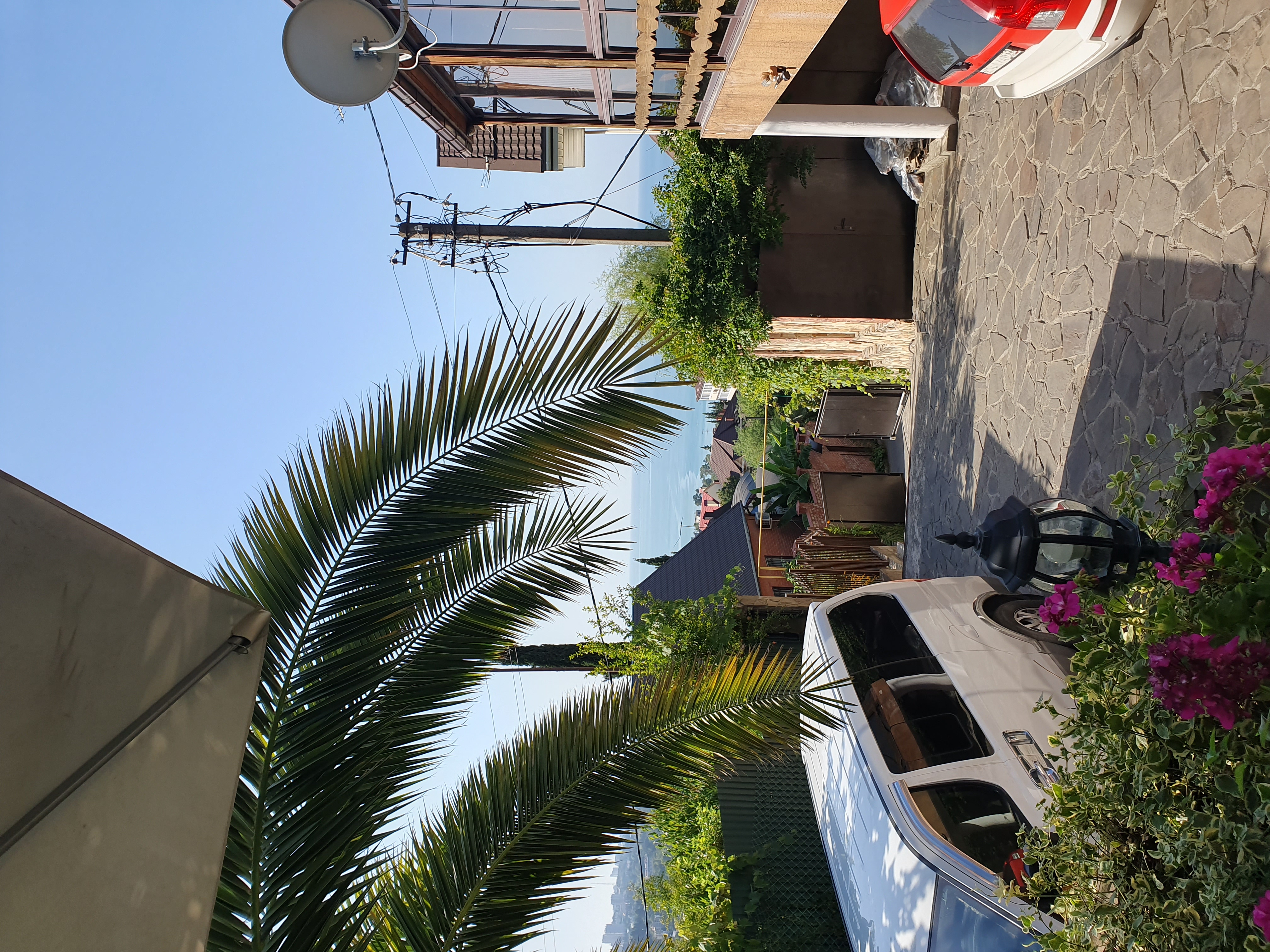 Фото Династия