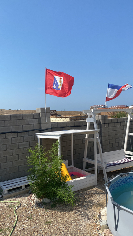 Фото Шафран