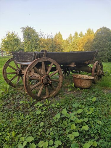 Турбаза Березовый хутор в Изборске