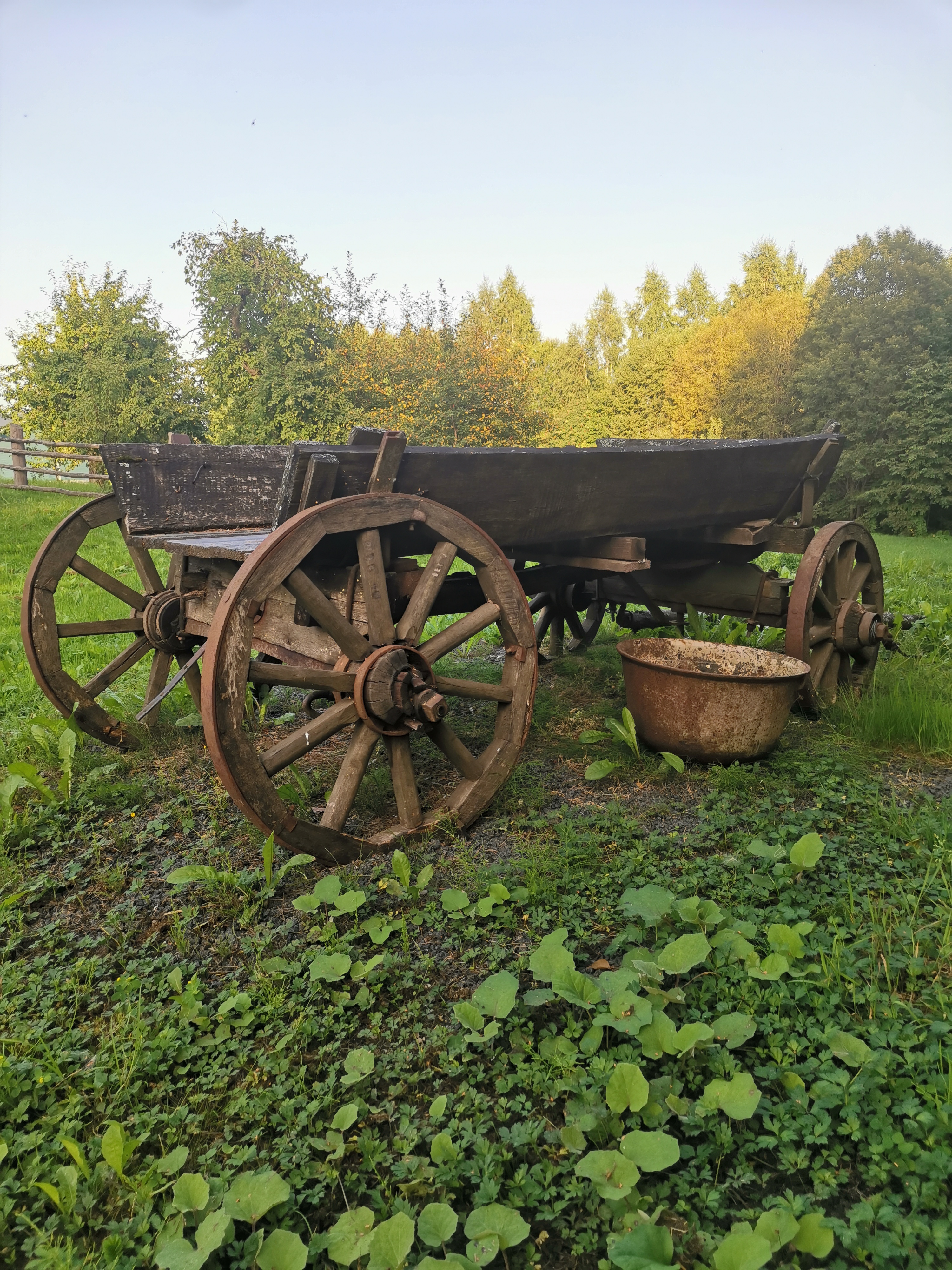 Фото Березовый хутор