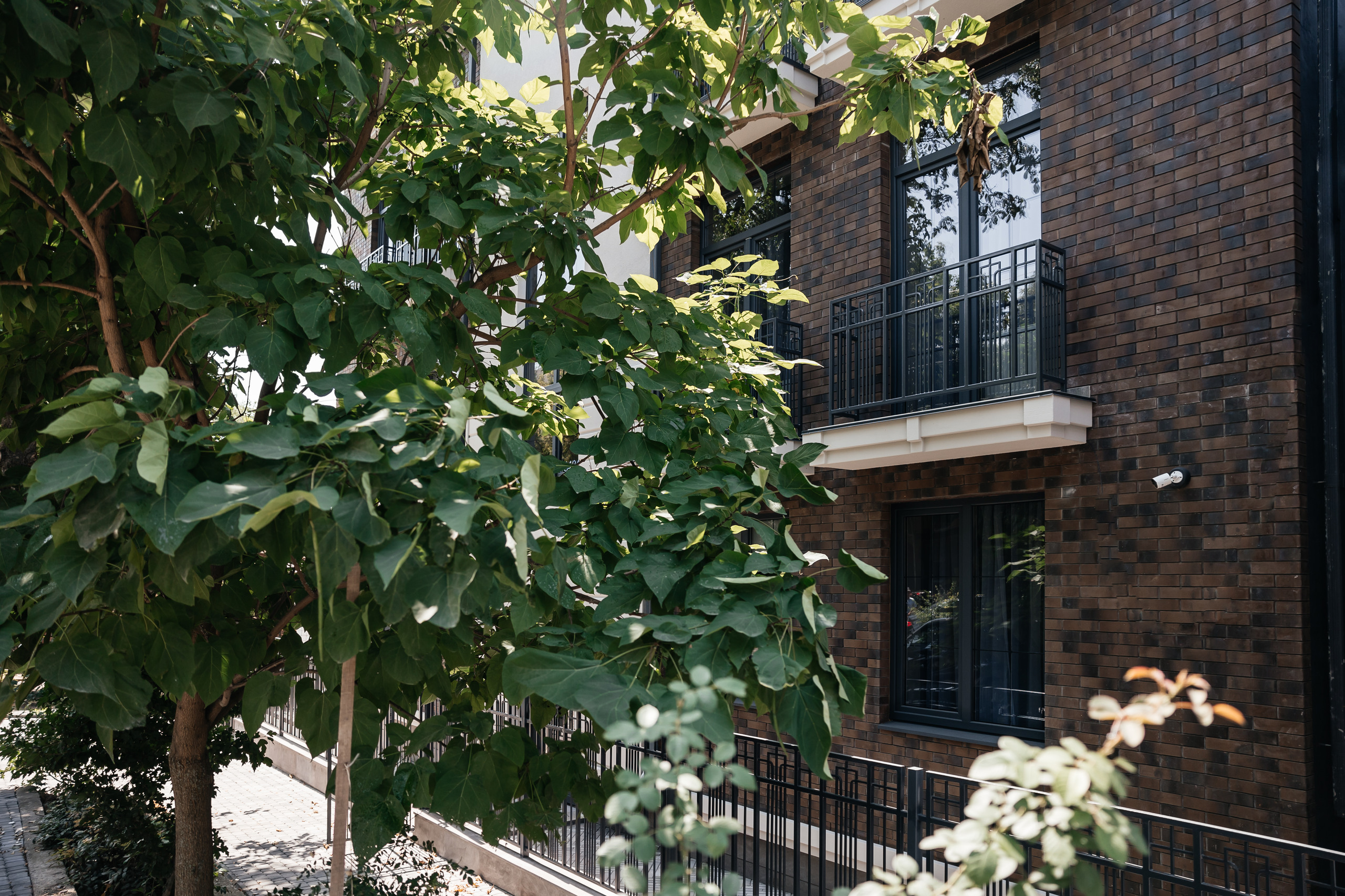 Фото Лакколит 993