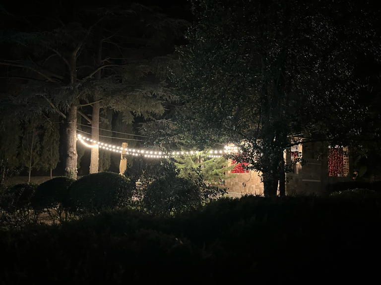 Фото Олива Парк