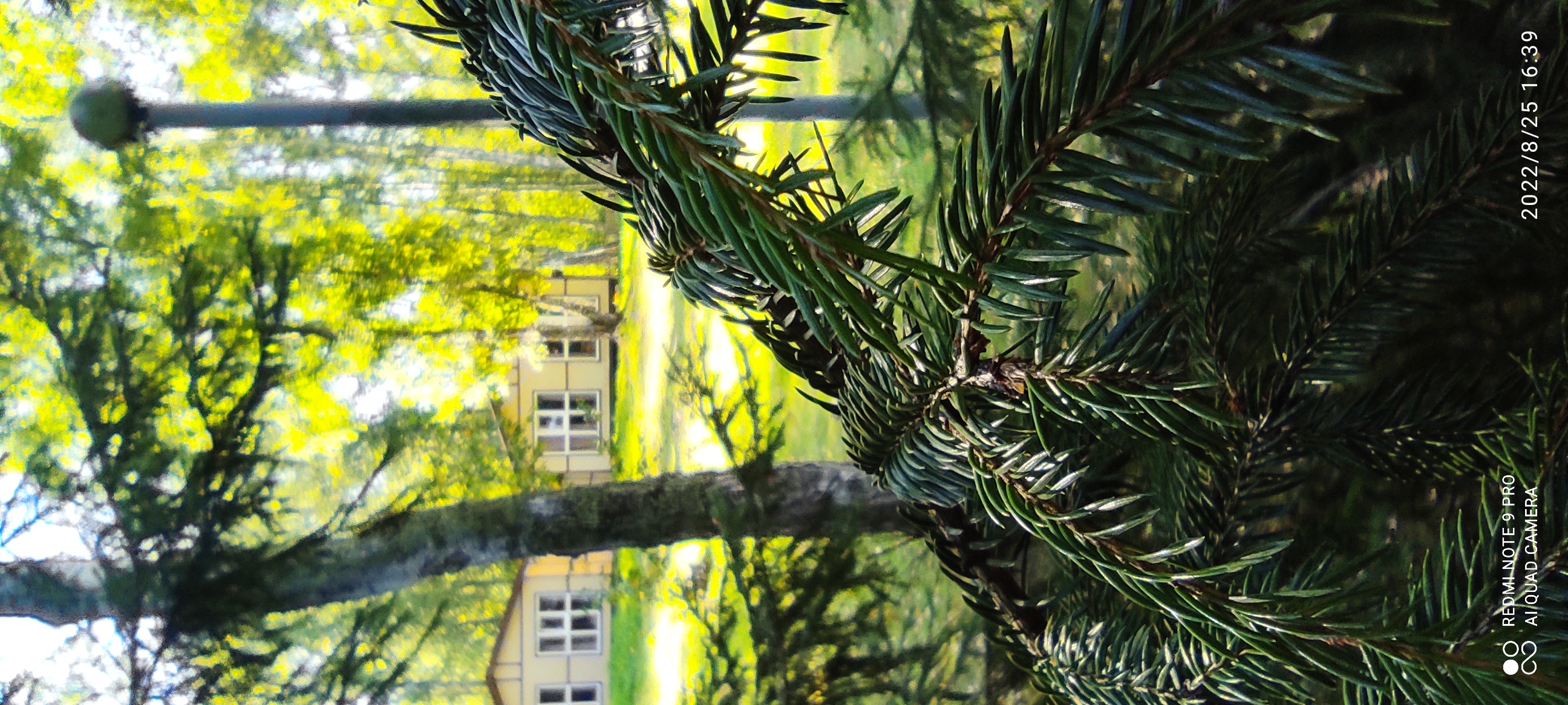 Фото Империя Туризма