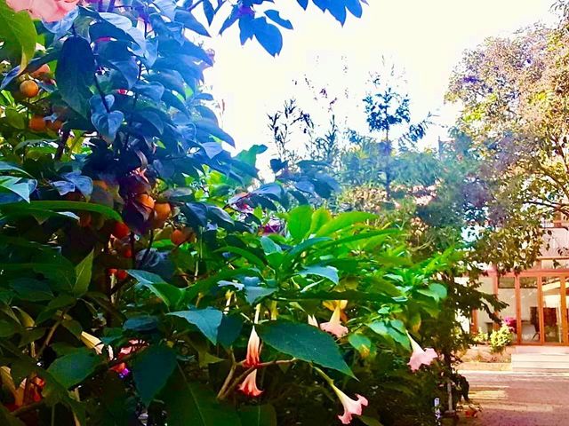 Фото Гостевой дом Батуми Wonderland