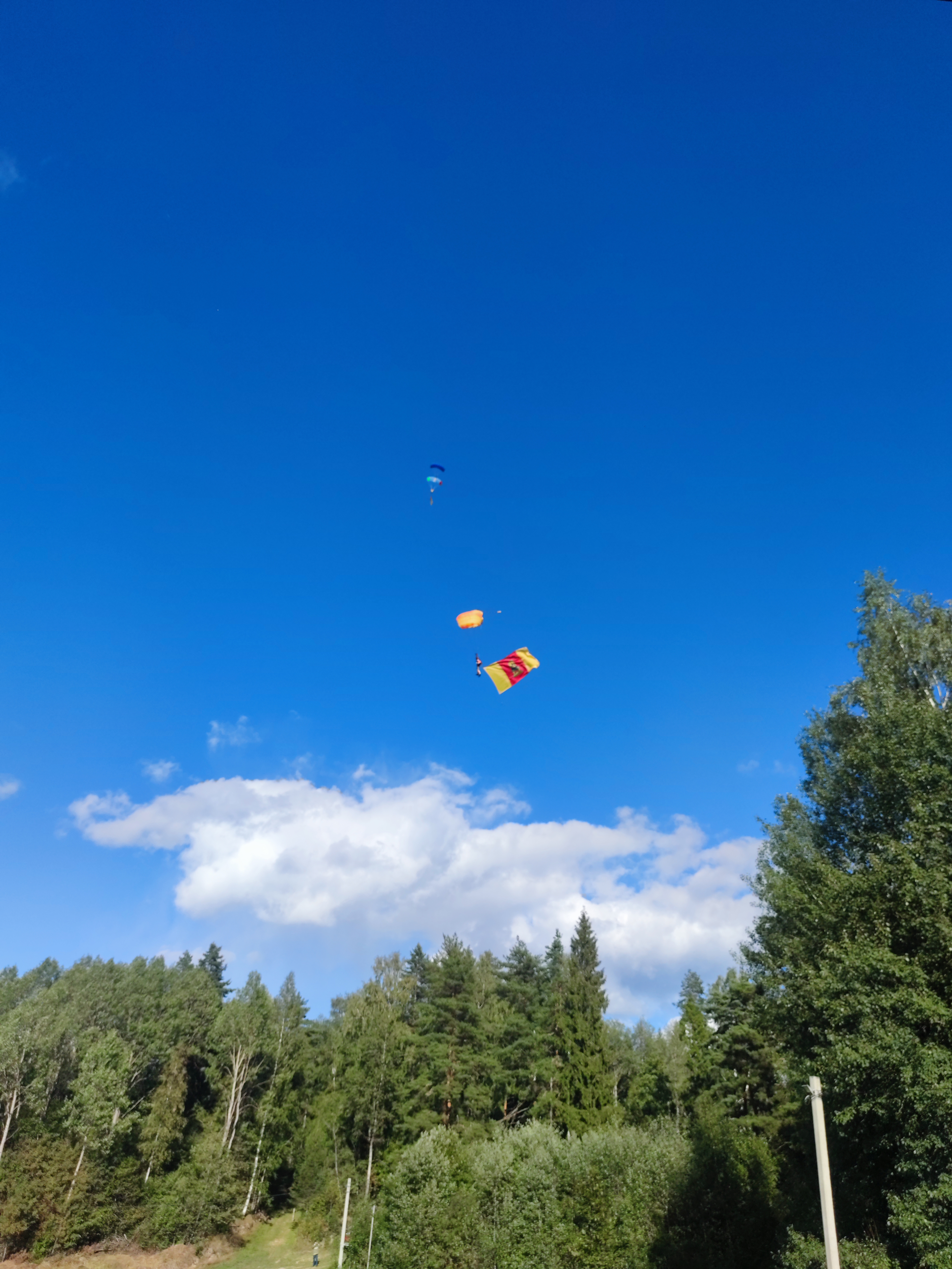 Фото Парк активного отдыха Гришкино