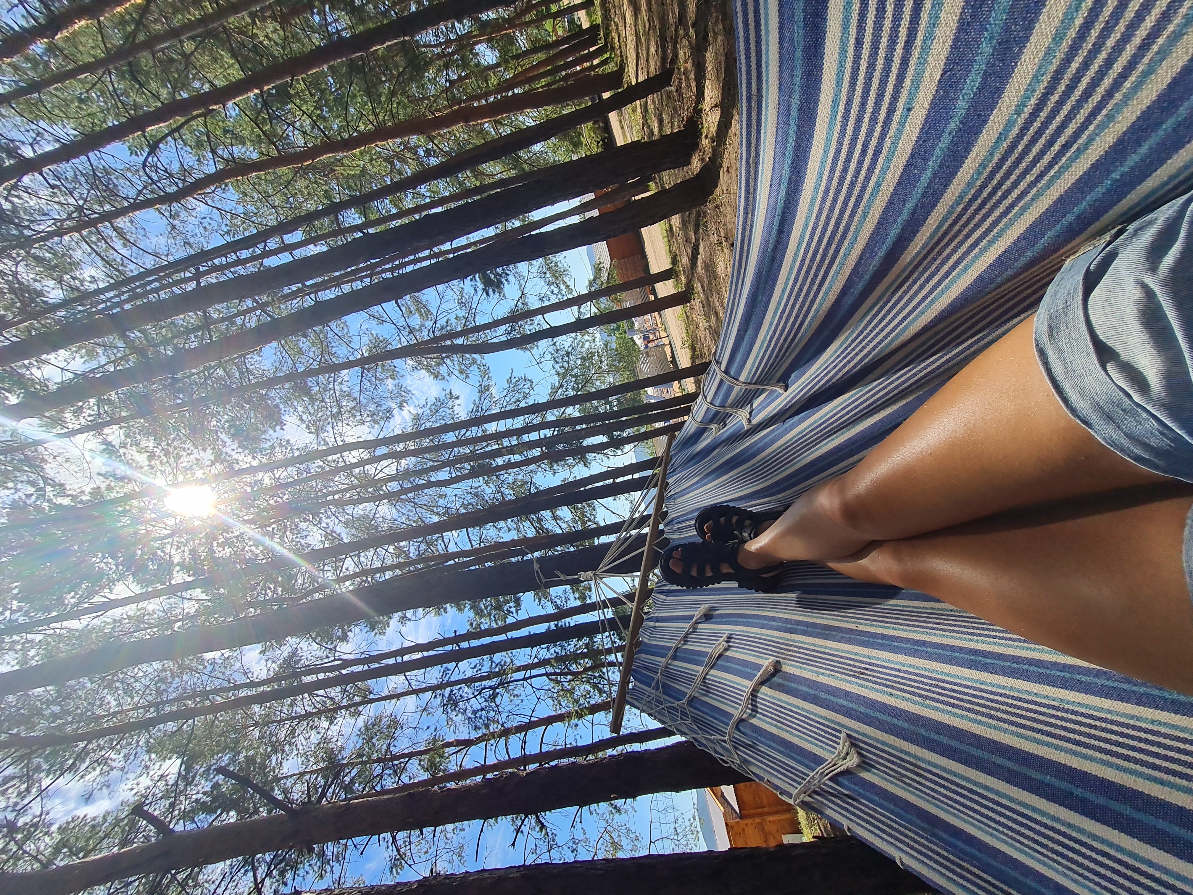 Фото Маламут Ленд