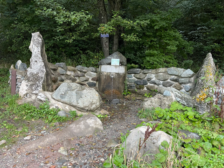 Фото Богатырь