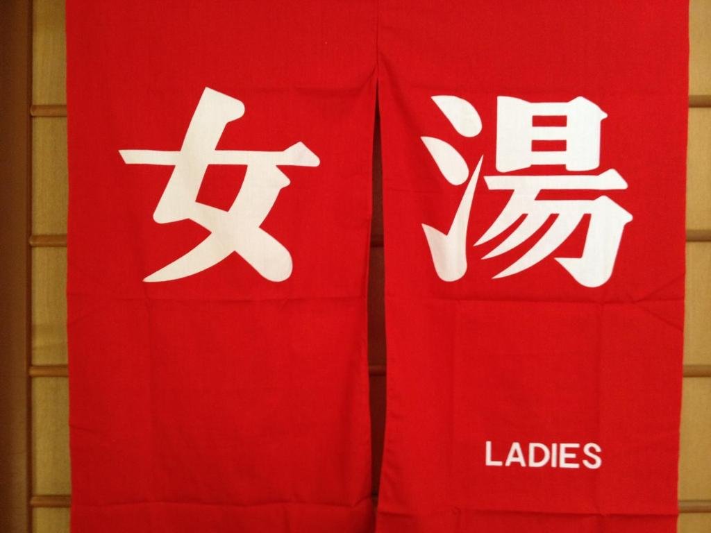 Фото Hotel Iyashinoyado Rodem