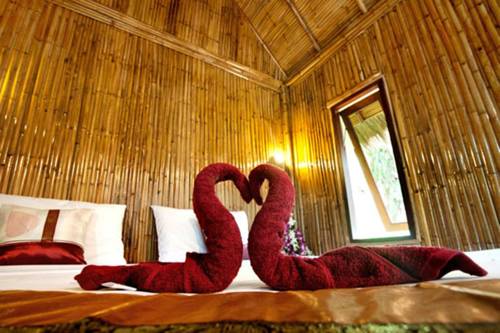 Фото The Cove Phi Phi