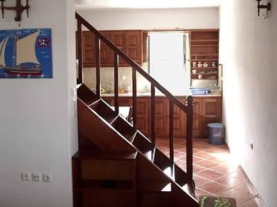 Фото Hydra Erato