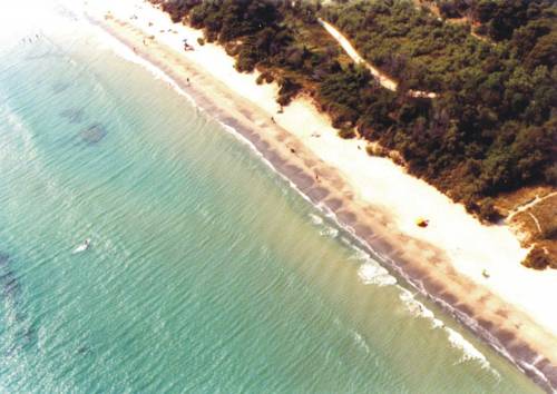 Фото Hotel Parco delle Cale