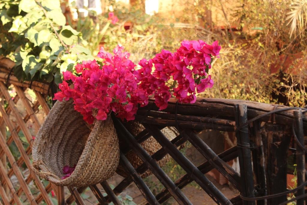 Фото Riad Dar Zaouia