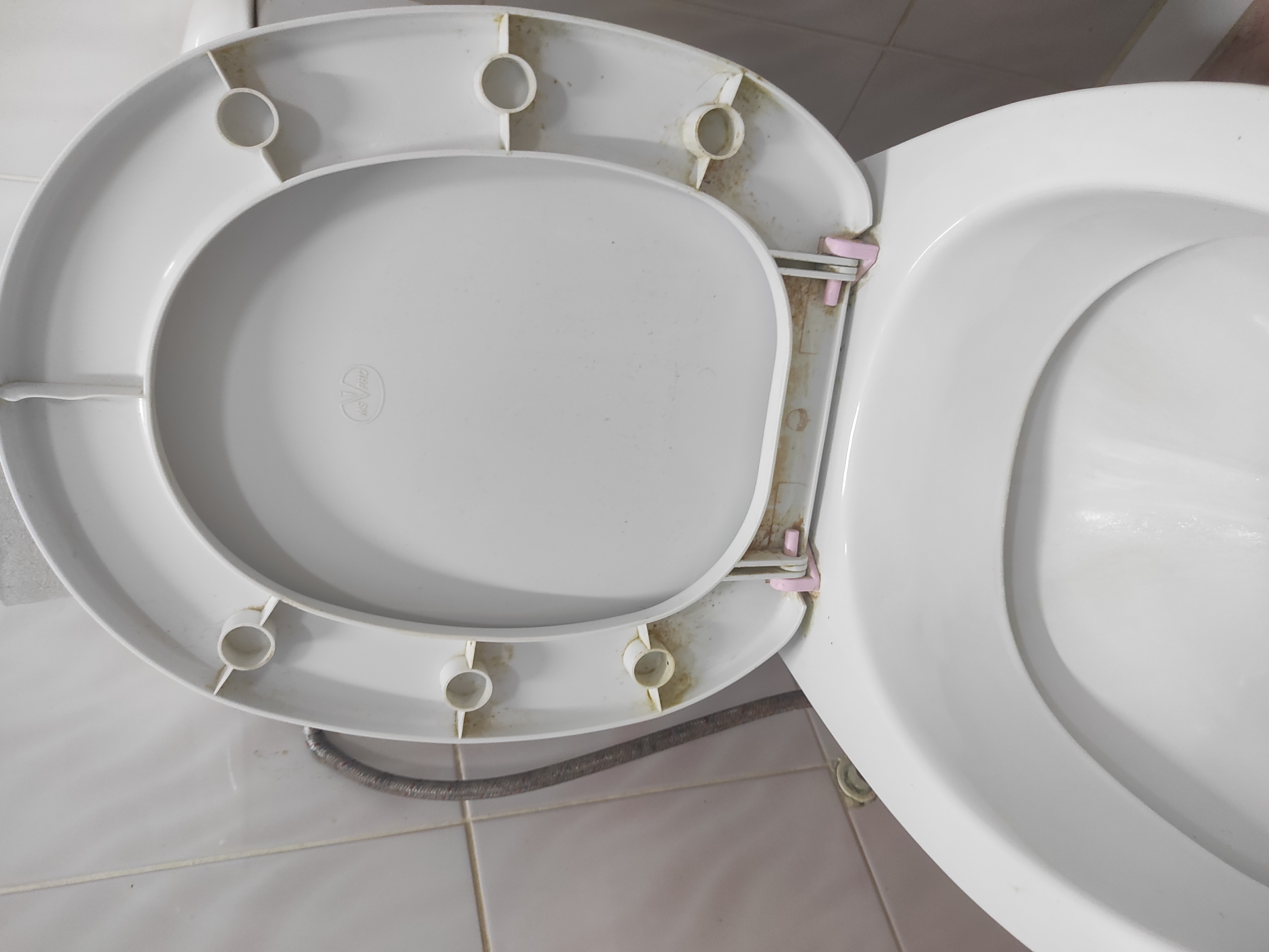 Фото Восток