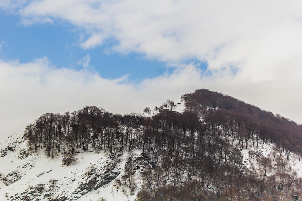 Фото Club Hotel Du Park