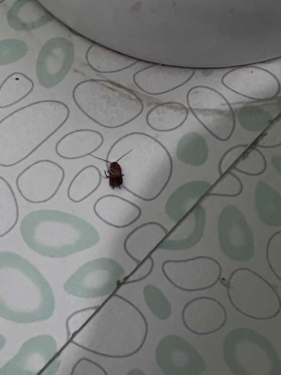 Фото All Seasons