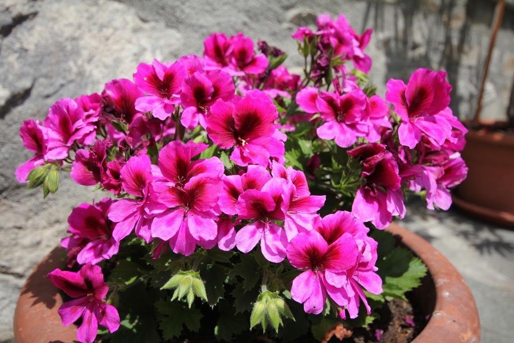 Фото Meuble Laurent