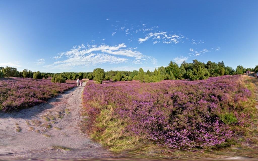 Фото Ratsschänke - Hotel Garni