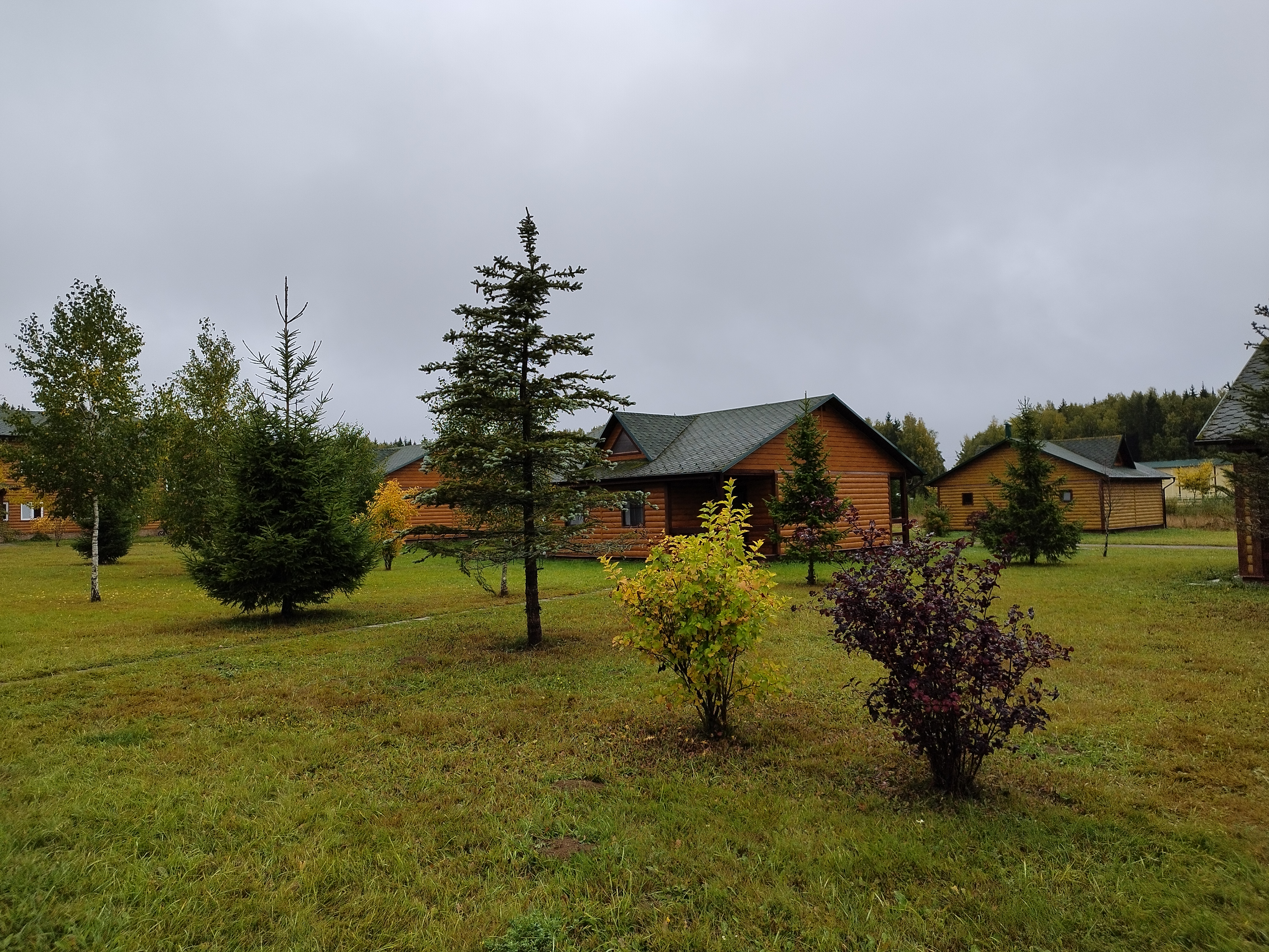 Фото Головинка