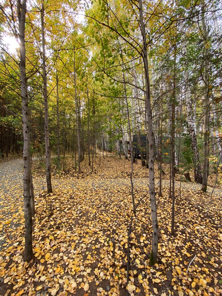 Фото Изумрудная поляна дачи