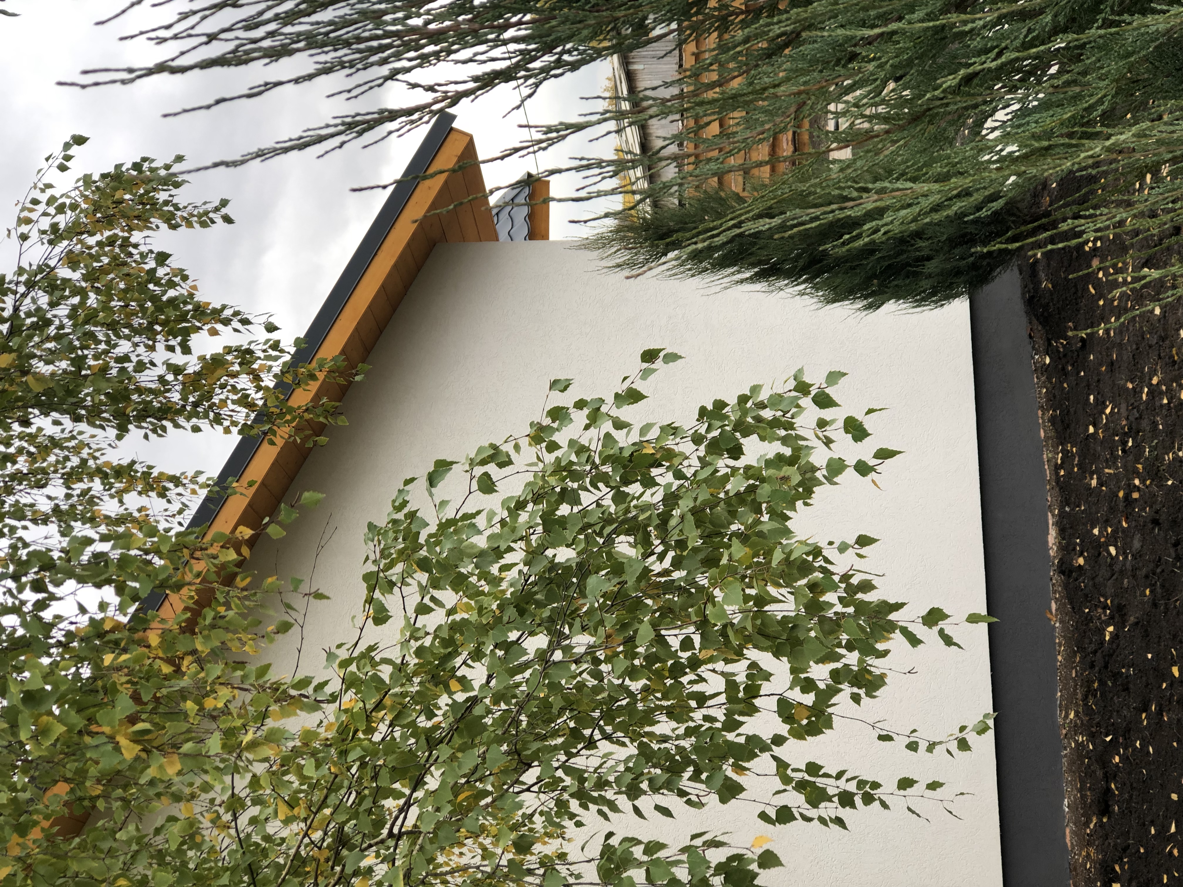 Фото Scandi House