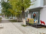Здоровый Пёс (ulitsa Chernyshevskogo, 31), pet products wholesale