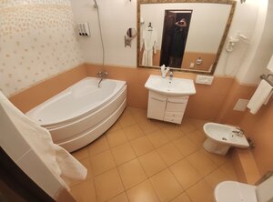 Гостиница Business Hotel