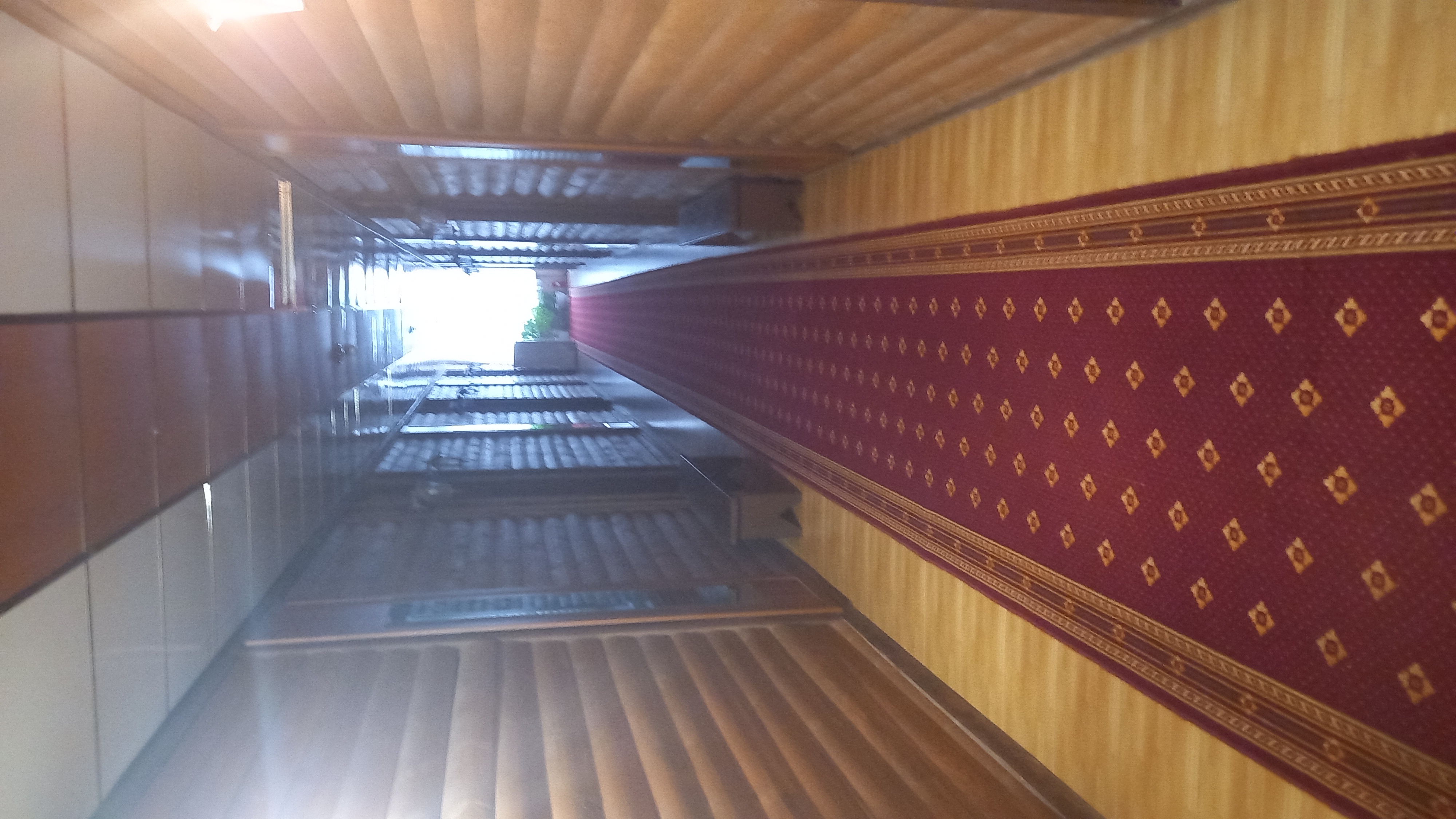 Фото Куделька