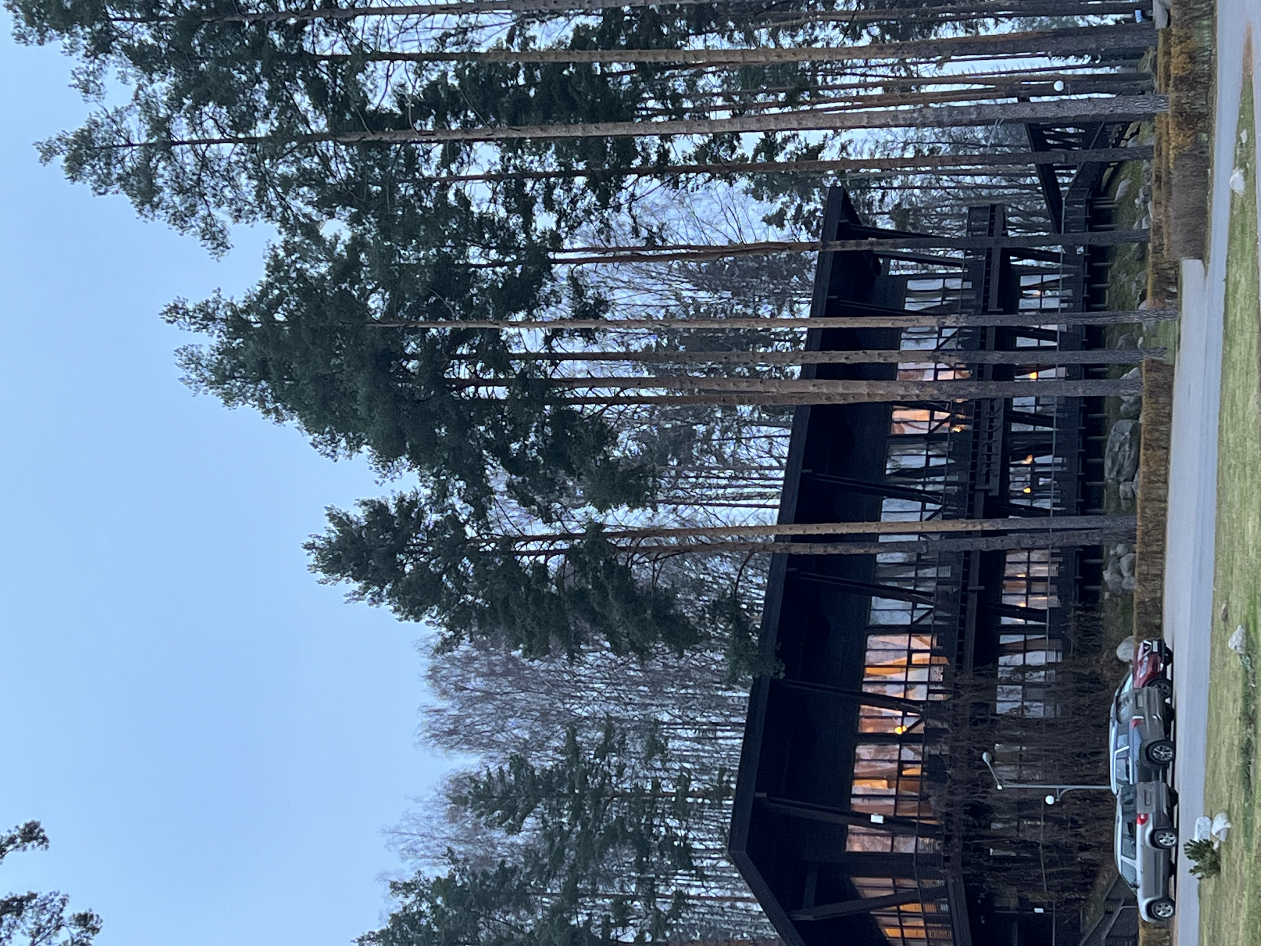 Фото Сильвер