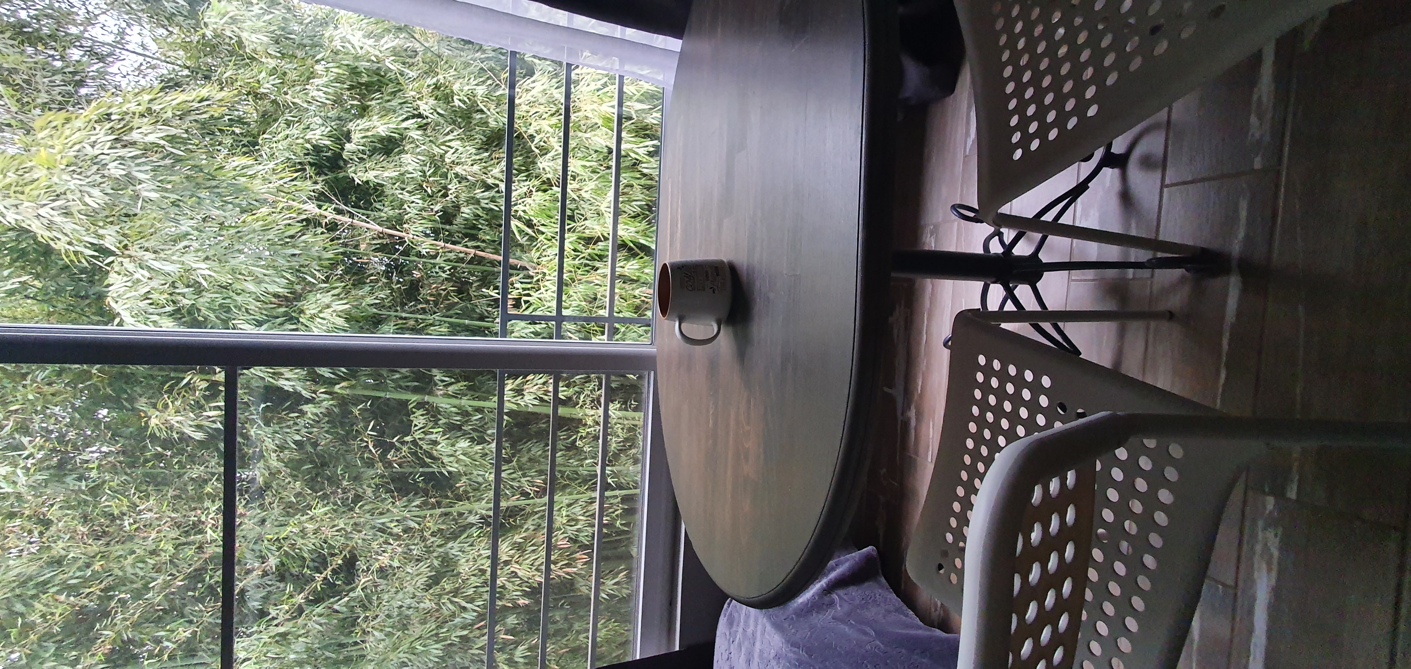 Фото Бамбуковая Роща