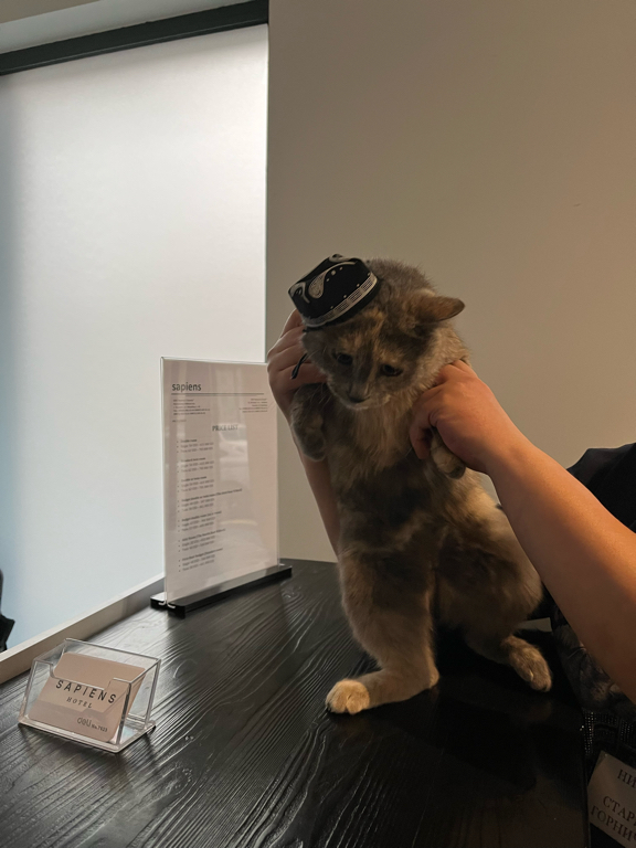 Фото Sapiens Hotel