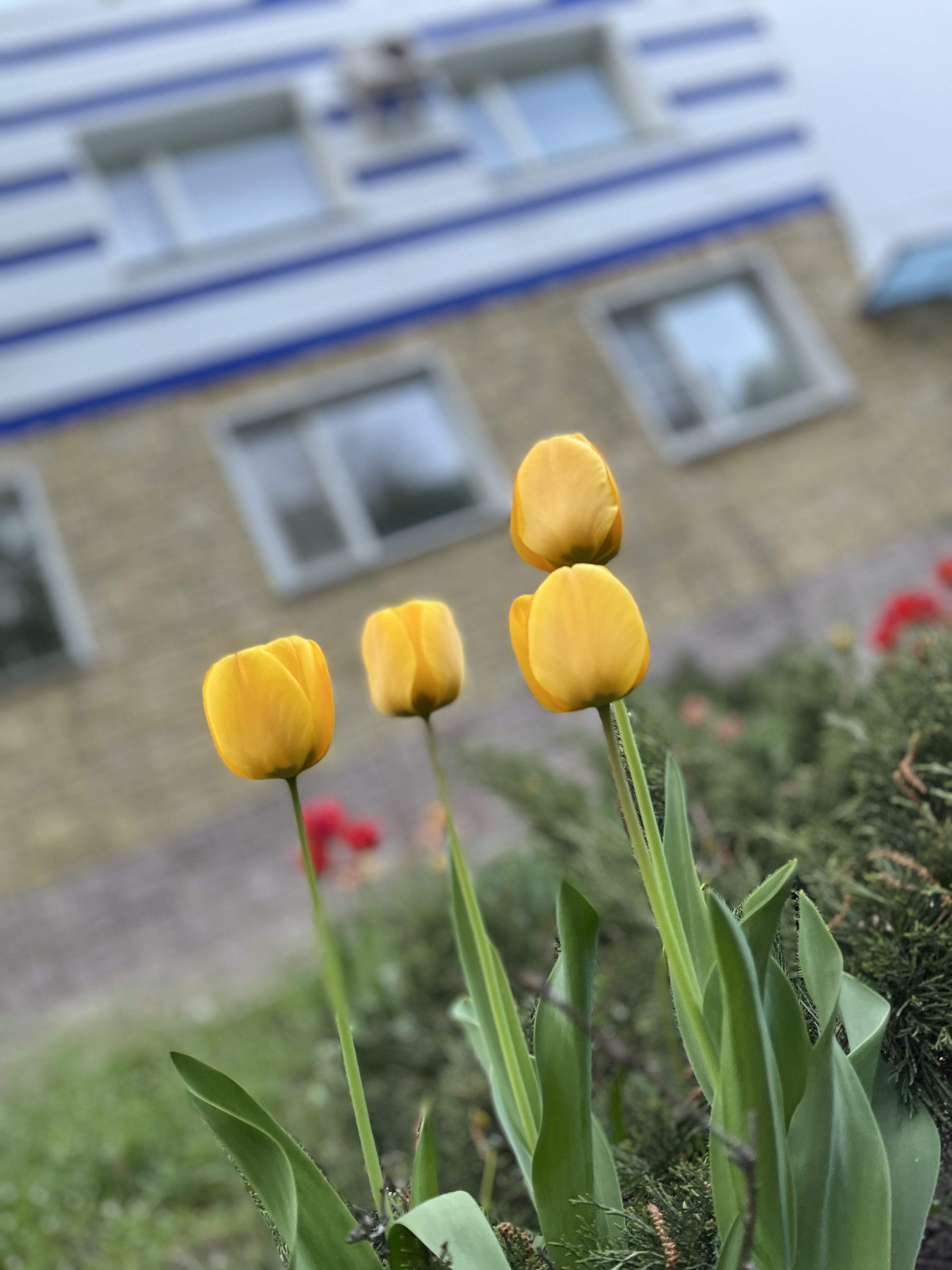 Фото Клинический санаторий им. Горького
