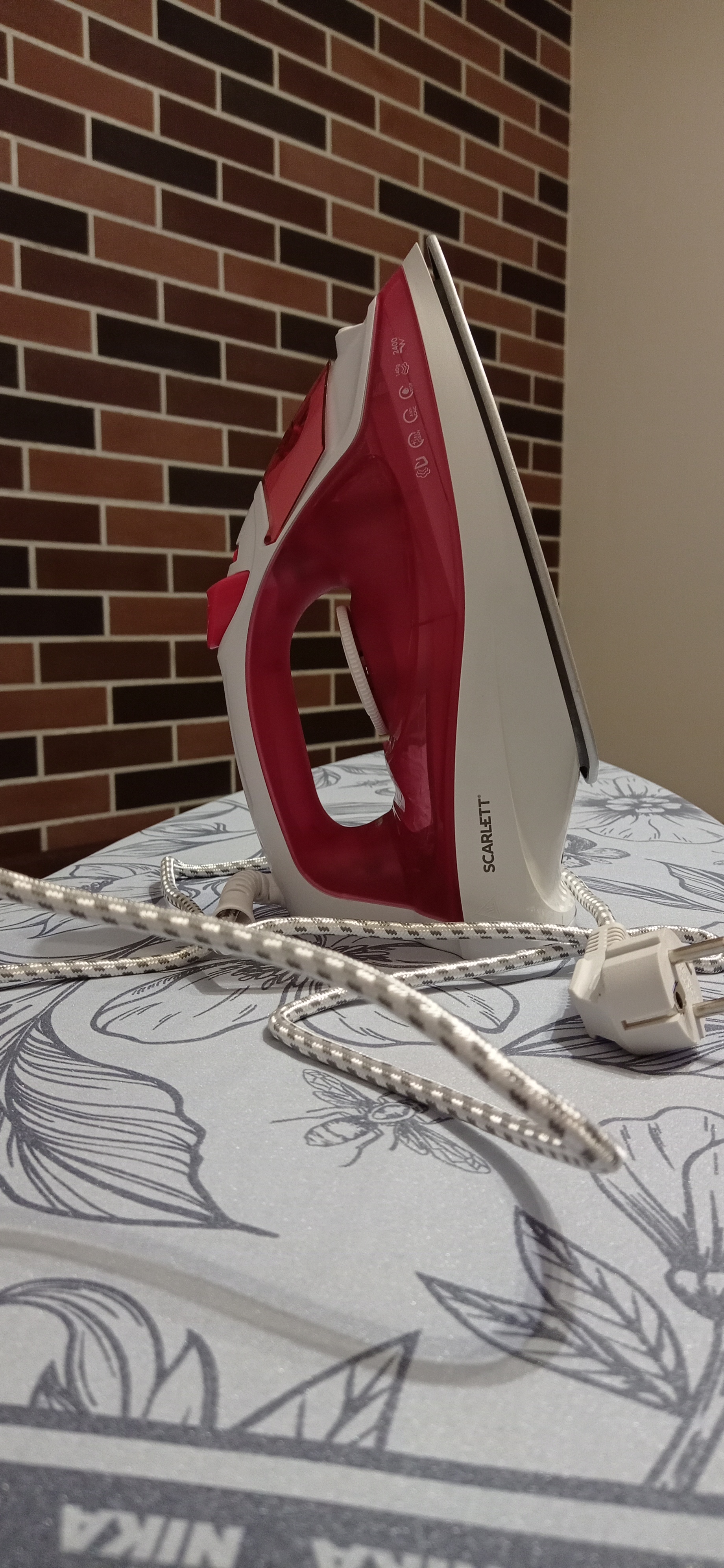 Фото Пихты Snow Point